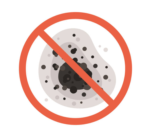 Best Mold Prevention Services  in Fullerton, NE