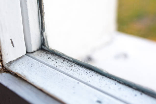 Best Commercial Mold Inspection  in Fullerton, NE